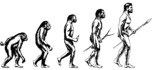 Fig 5