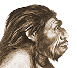 Neanderthal